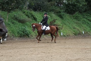 Bild 883 - WBO-Turnier am 18.9.11